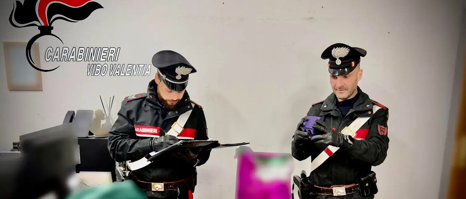 Razzia in un centro commerciale vibonese, beccati dai carabinieri con cosmetici e abiti nell’auto\n