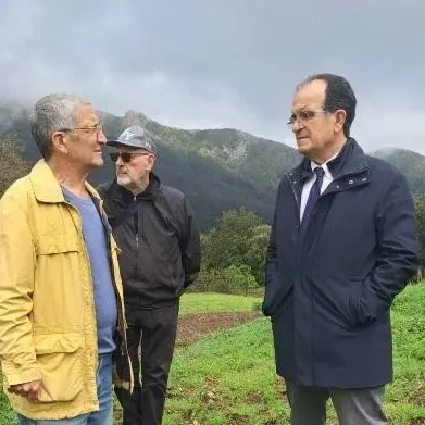 Valle del Bonamico in Aspromonte, Bruno: «Subito risposte sui rimborsi agli allevatori»\n