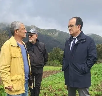 Valle del Bonamico in Aspromonte, Bruno: «Subito risposte sui rimborsi agli allevatori»\n