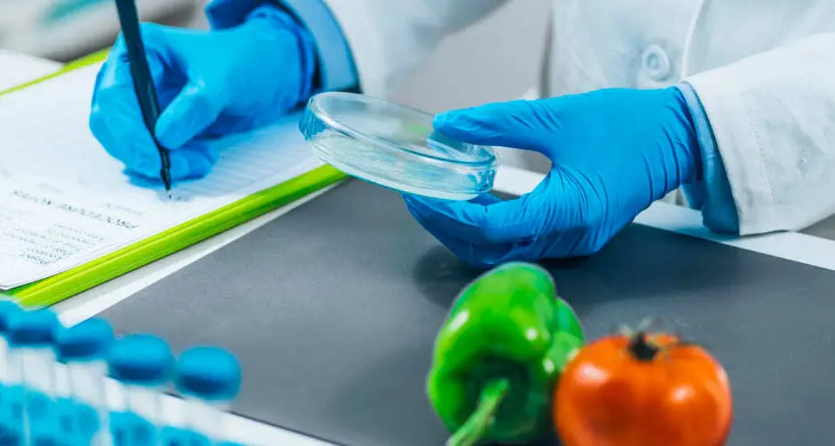 Malori dopo il pranzo in una scuola di Casole Bruzio, l’azienda: «Controlli ok, nessun agente patogeno»\n