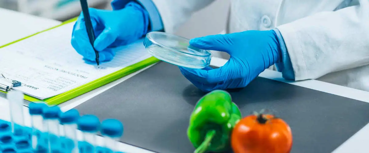 Malori dopo il pranzo in una scuola di Casole Bruzio, l’azienda: «Controlli ok, nessun agente patogeno»\n