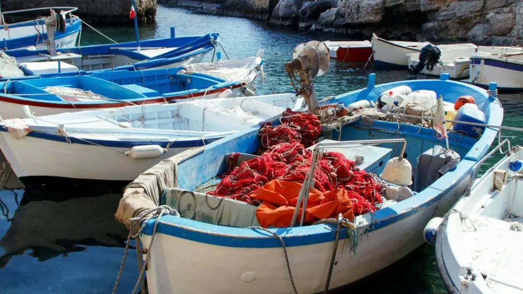 Pescherecci ancora fermi a Schiavonea, Gallo: «Problema nazionale»\n