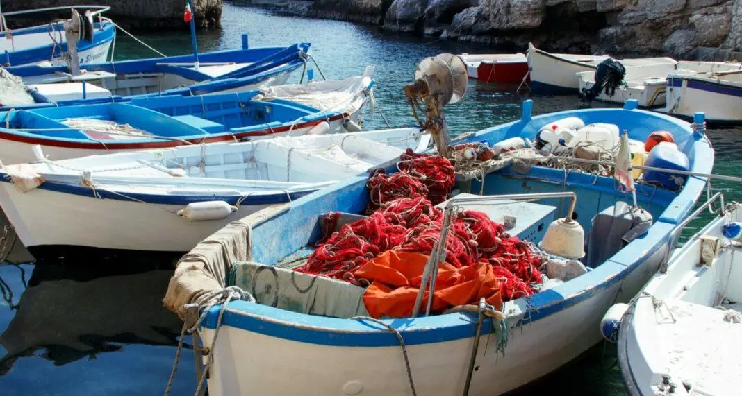 Pescherecci ancora fermi a Schiavonea, Gallo: «Problema nazionale»\n
