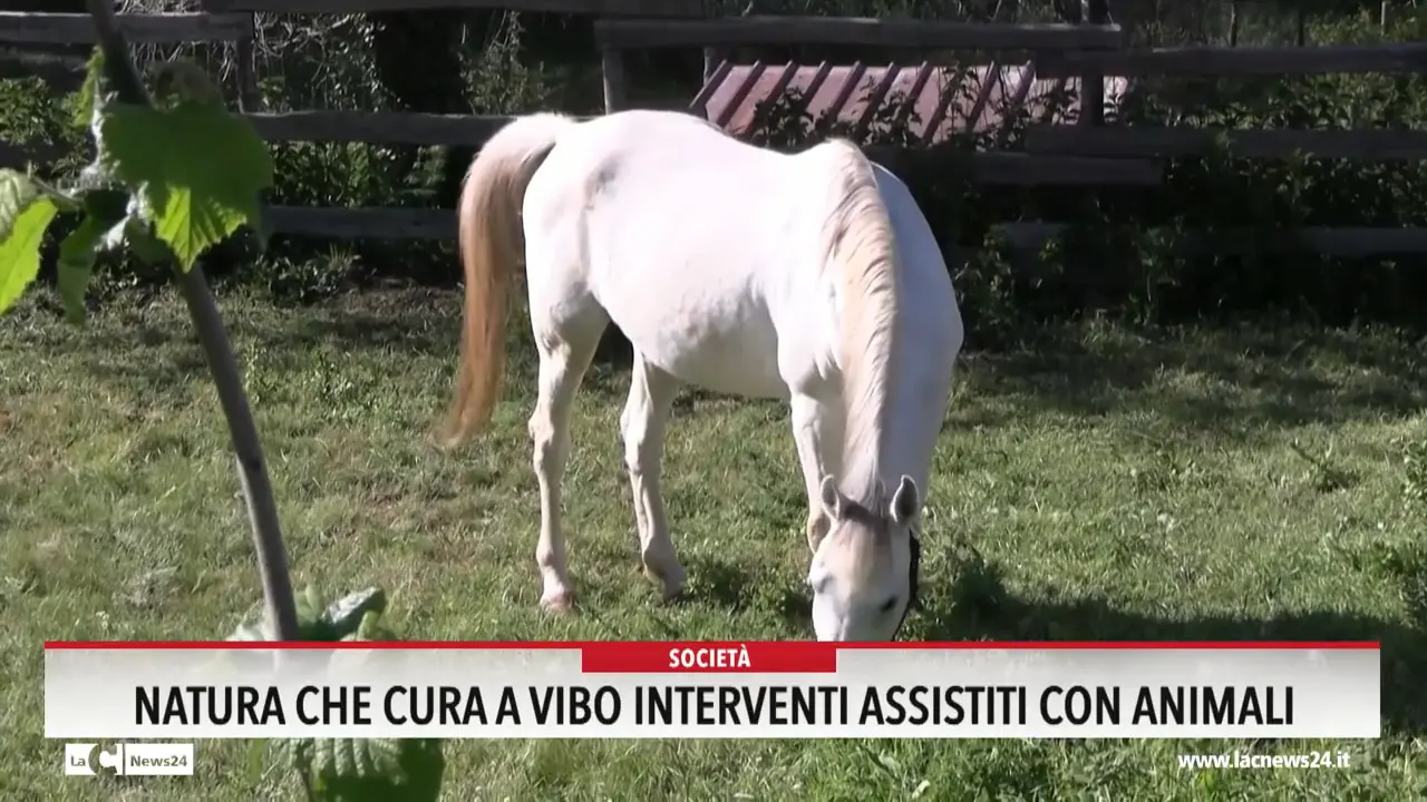 Natura che cura, a Vibo interventi assistiti con animali