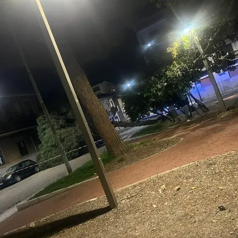 Santa Caterina, crolla un pino nella piazzetta: scatta l’allarme sulla sicurezza del verde pubblico\n