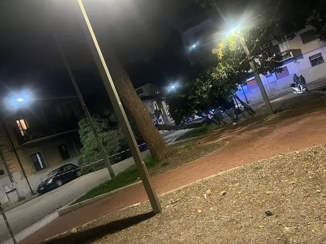 Santa Caterina, crolla un pino nella piazzetta: scatta l’allarme sulla sicurezza del verde pubblico\n