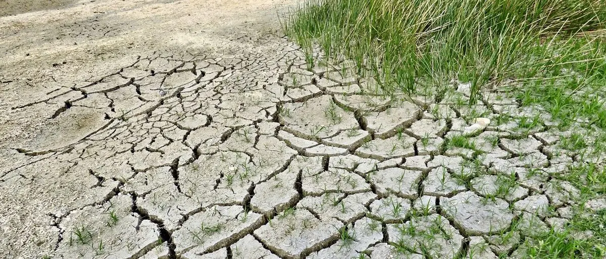 In Ue 157mila chilometri quadrati colpiti dalla siccità nel 2024: quanto l’intera Tunisia o 6 volte la Sicilia\n