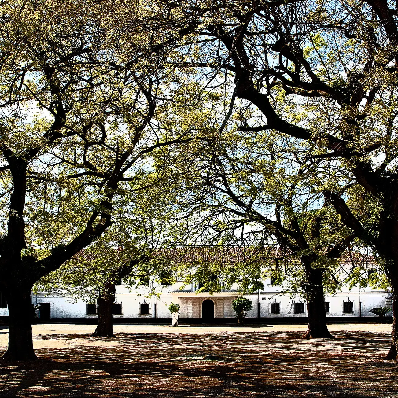 Giornata nazionale delle dimore storiche, centinaia di edifici aperti gratuitamente: ecco quali in Calabria\n