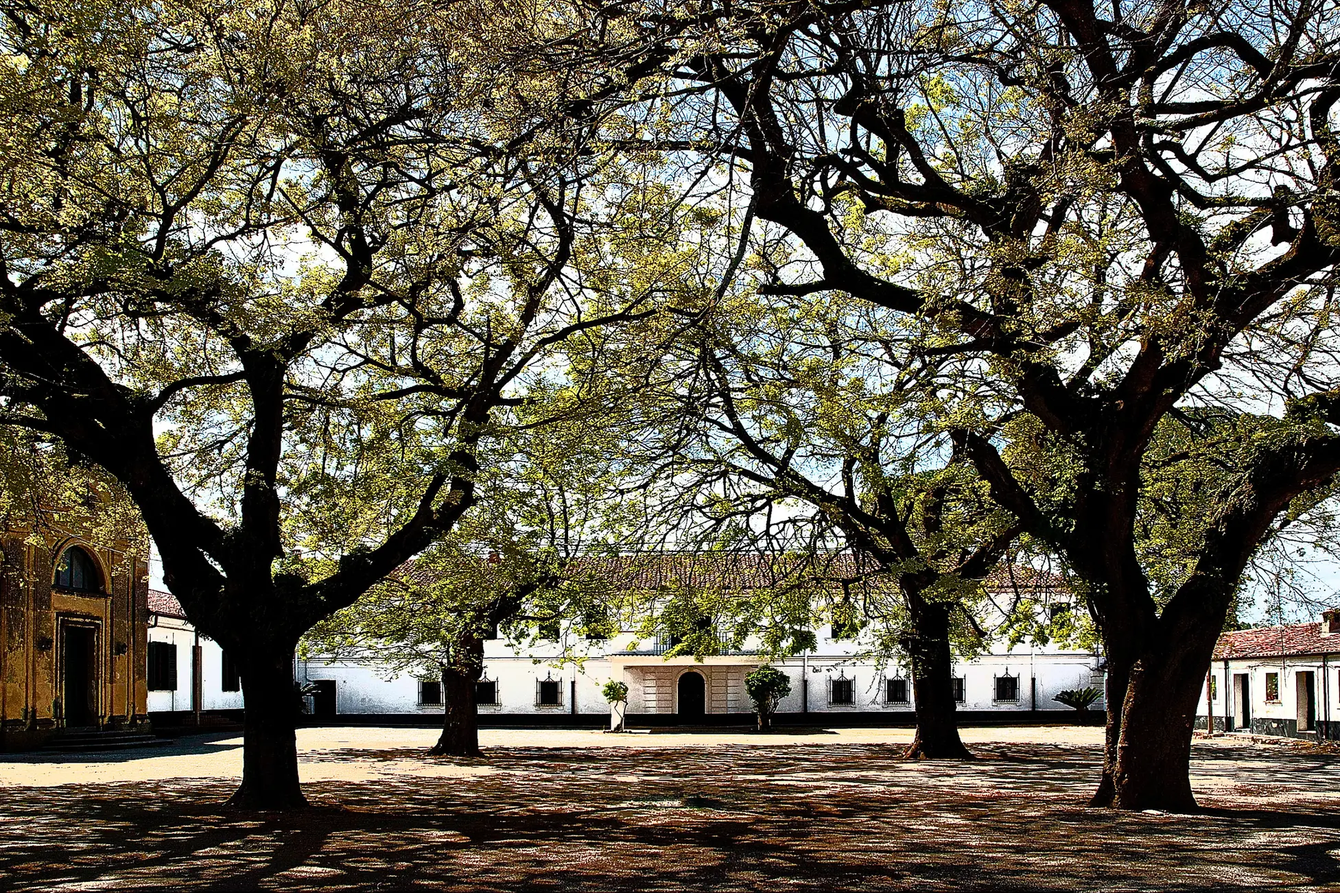 Giornata nazionale delle dimore storiche, centinaia di edifici aperti gratuitamente: ecco quali in Calabria\n