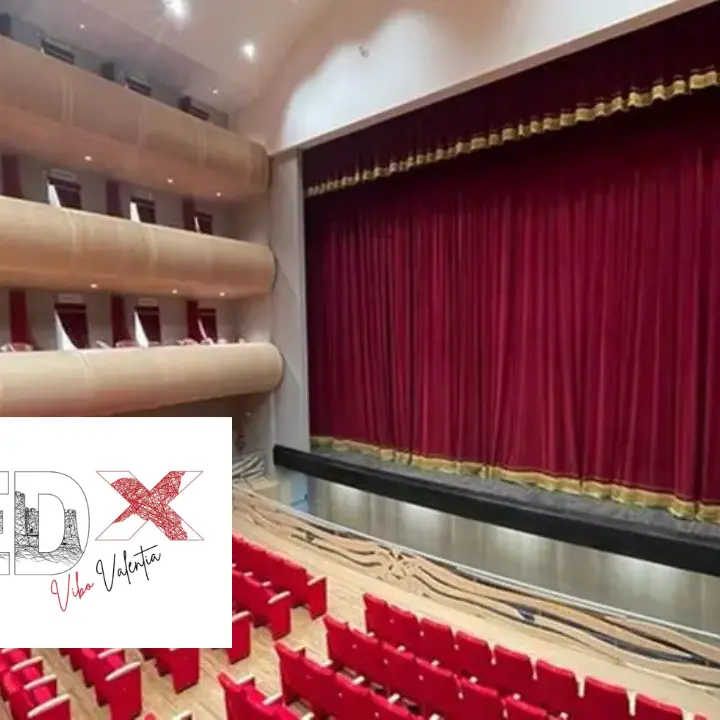 <p>Al Teatro comunale il TEDx Vibo Valentia 2026: annunciati i primi ospiti dell’evento</p>