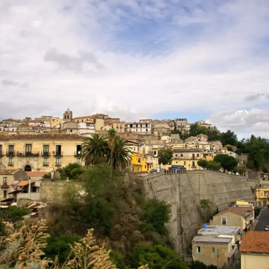 Furto di piante a Caulonia, la condanna della minoranza\n