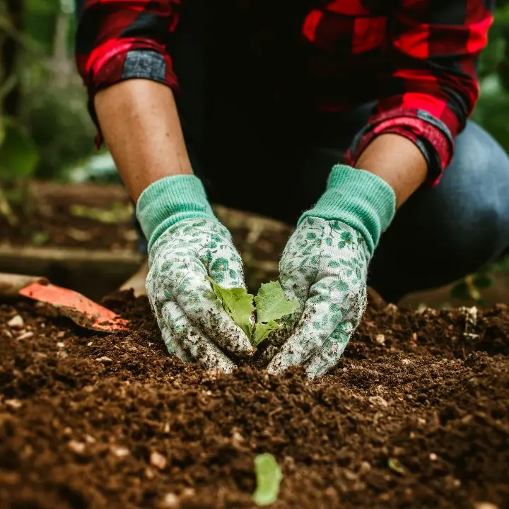 Dagli Usa alla Calabria: emigrato regala 6mila mq di terra per un orto condiviso (bio)\n
