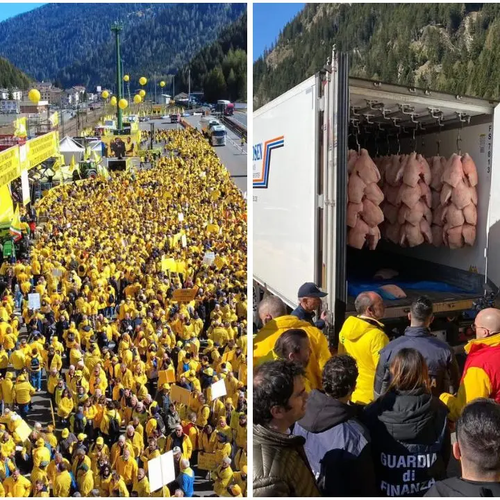 Coldiretti al Brennero contro il falso made in Italy, Cosentini: «In Calabria paghiamo un prezzo doppio»\n