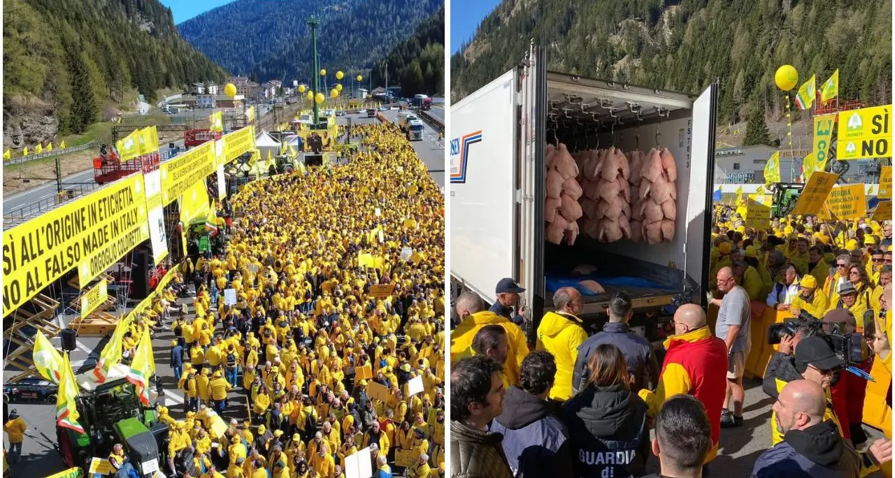 Coldiretti al Brennero contro il falso made in Italy, Cosentini: «In Calabria paghiamo un prezzo doppio»\n