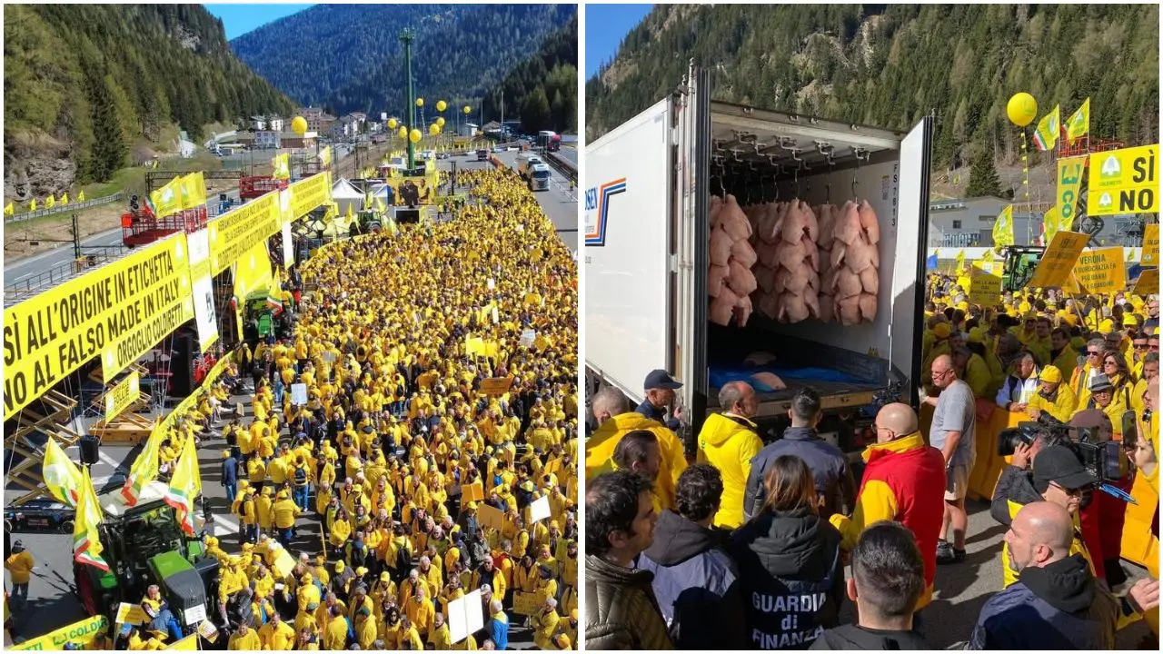 Coldiretti al Brennero contro il falso made in Italy, Cosentini: «In Calabria paghiamo un prezzo doppio»\n