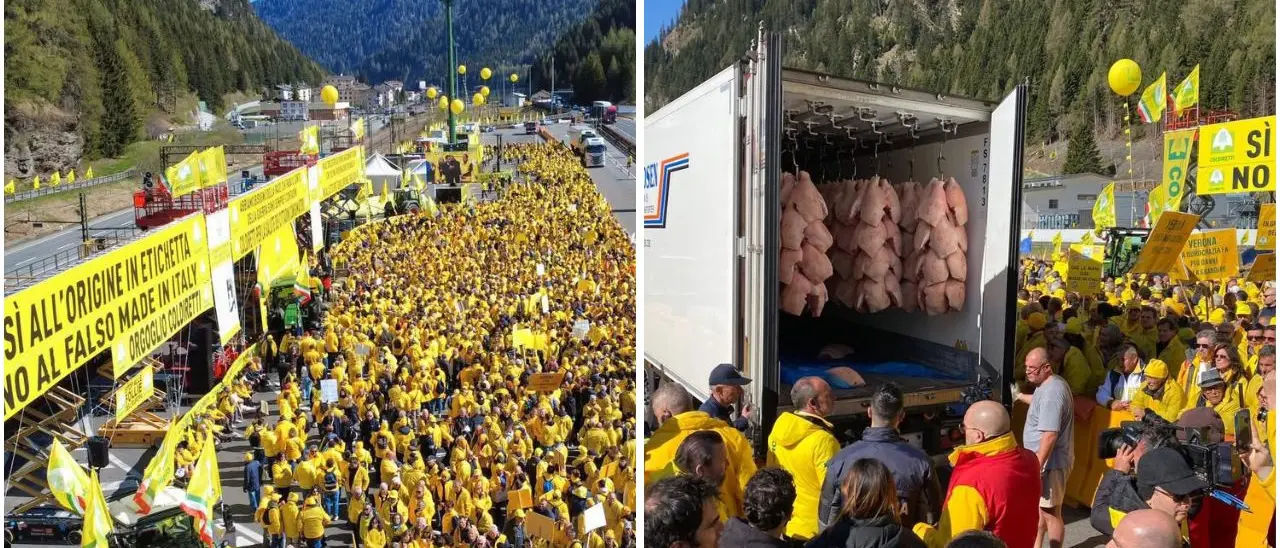 Coldiretti al Brennero contro il falso made in Italy, Cosentini: «In Calabria paghiamo un prezzo doppio»\n