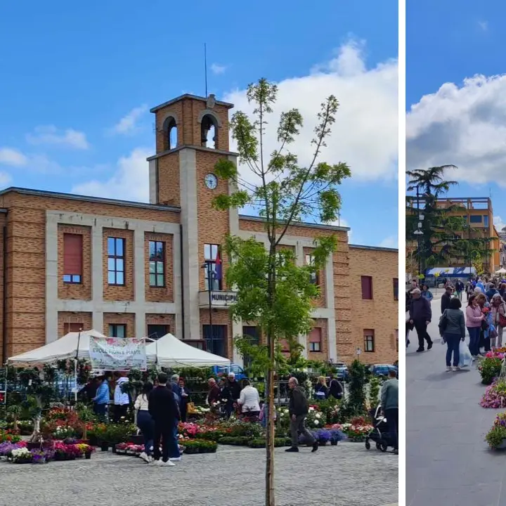 ViboFiorArt, l’assessore De Luca: «Città trasformata in un giardino a cielo aperto»\n