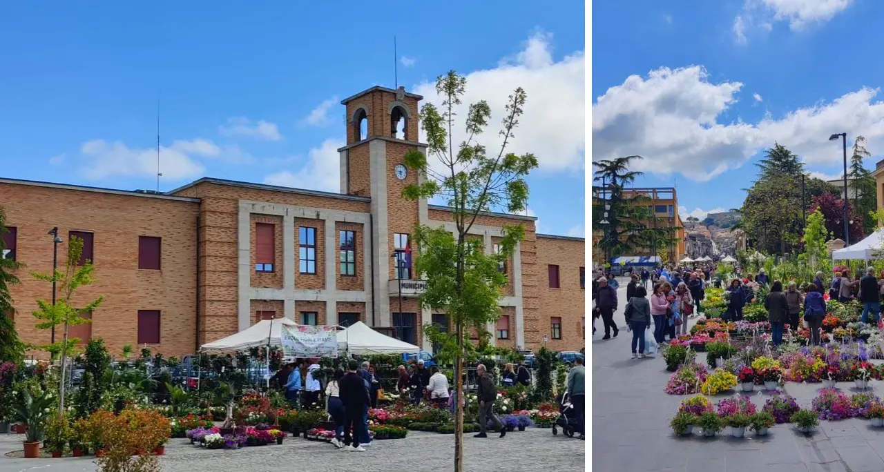 ViboFiorArt, l’assessore De Luca: «Città trasformata in un giardino a cielo aperto»\n