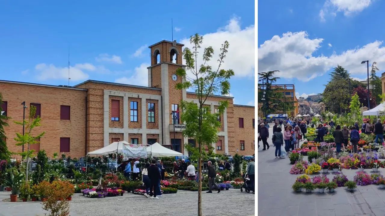 ViboFiorArt, l’assessore De Luca: «Città trasformata in un giardino a cielo aperto»\n