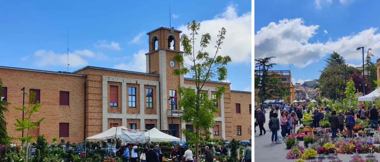 ViboFiorArt, l’assessore De Luca: «Città trasformata in un giardino a cielo aperto»\n