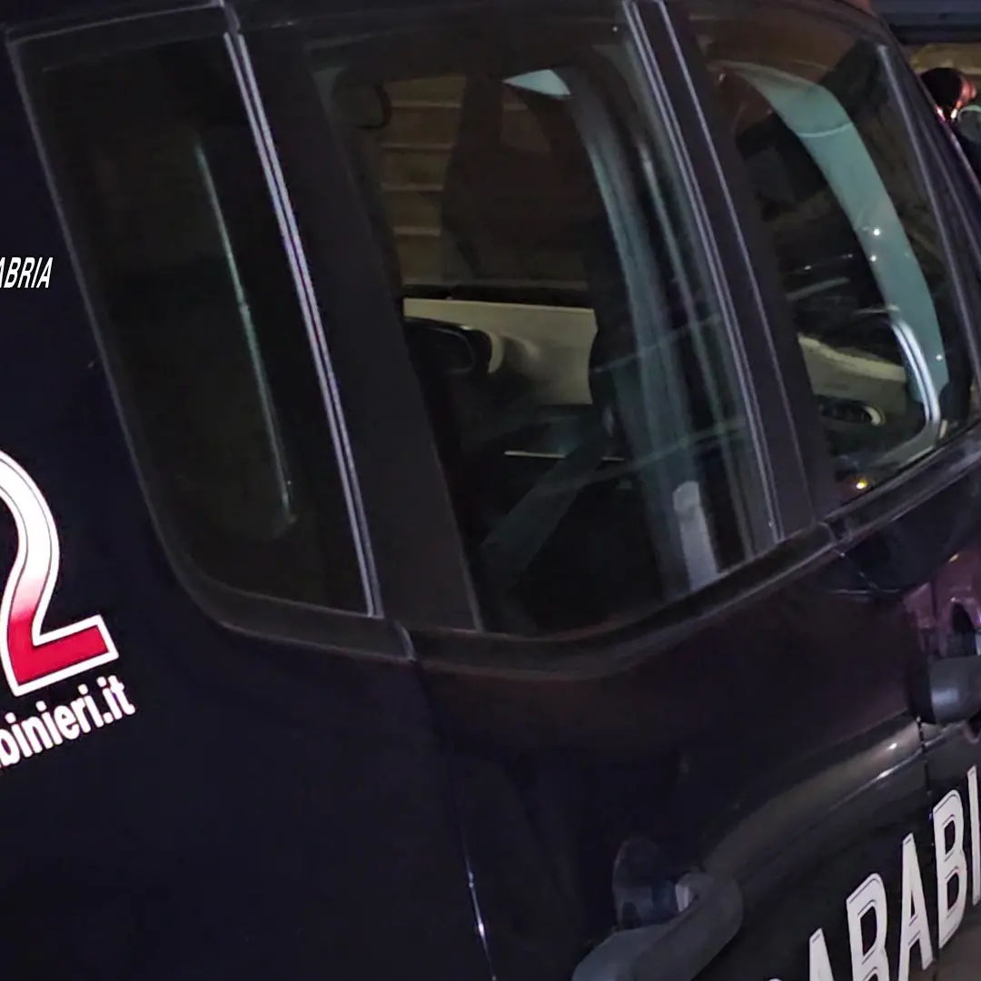 Blitz dei Carabinieri nella Piana di Gioia Tauro: scoperti caseificio abusivo, furti di energia e irregolarità commerciali\n