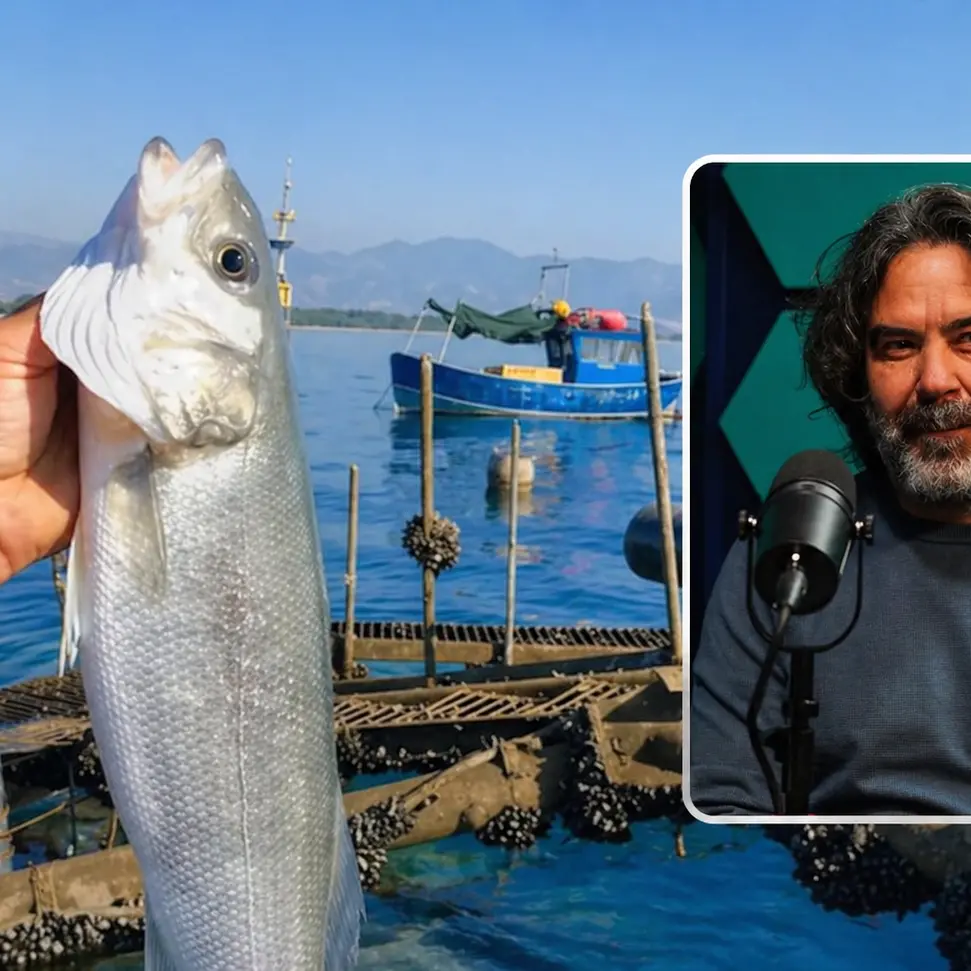 Il richiamo del mare guardando al futuro, l’allevamento innovativo di Arturo: «I nostri pesci crescono in modo naturale»\n