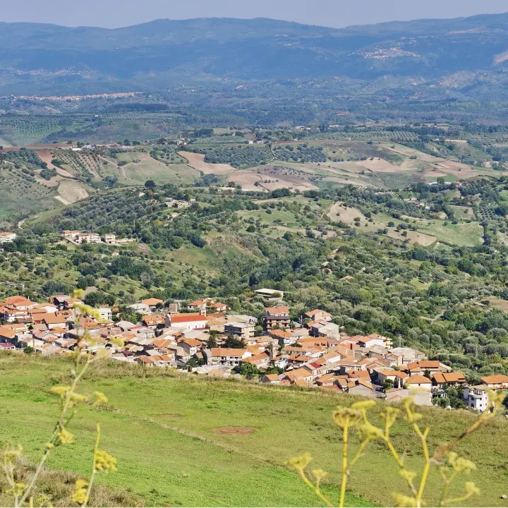 Narcotraffico sull’asse Stefanaconi-Firenze: condannati due imputati vibonesi\n