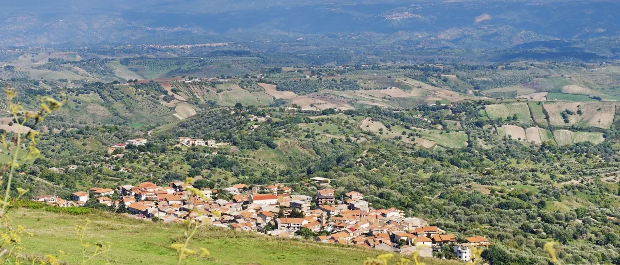 Narcotraffico sull’asse Stefanaconi-Firenze: condannati due imputati vibonesi\n