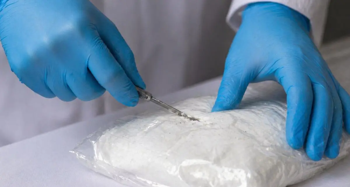 Greco: «A Cosenza i proventi della droga confluivano in due “bacinelle”»\n