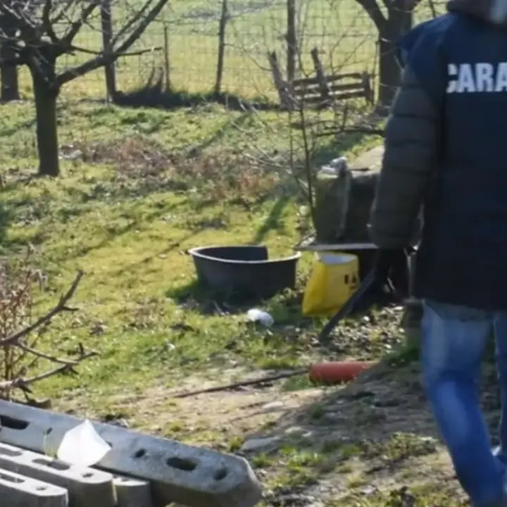 Pavia, cadavere di una ragazza trovato nei campi\n