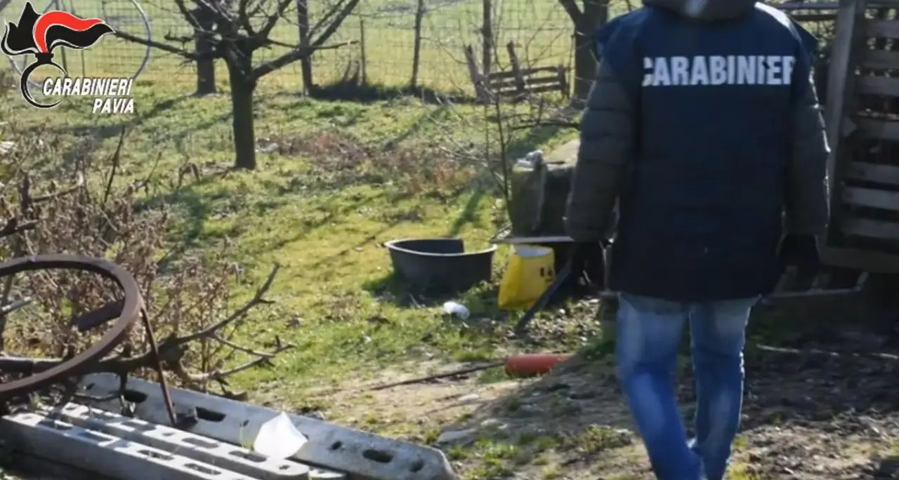 Pavia, cadavere di una ragazza trovato nei campi\n