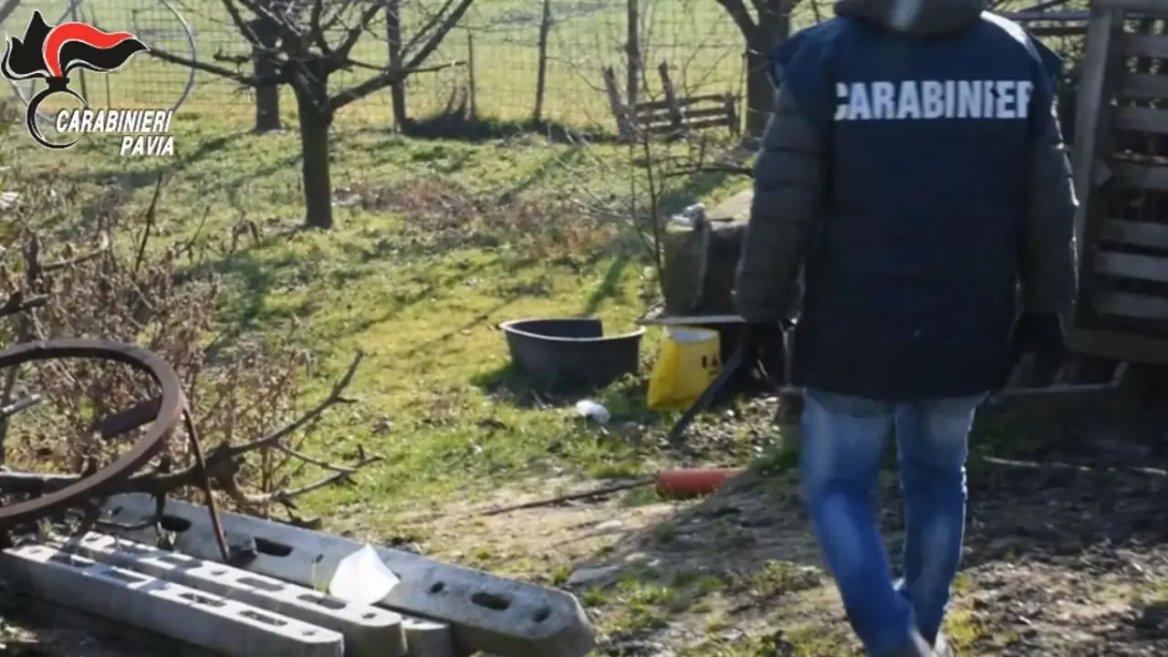 Pavia, cadavere di una ragazza trovato nei campi\n