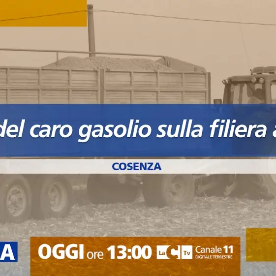 L’impatto del caro gasolio sulla filiera alimentare: approfondimento a Dentro la notizia\n
