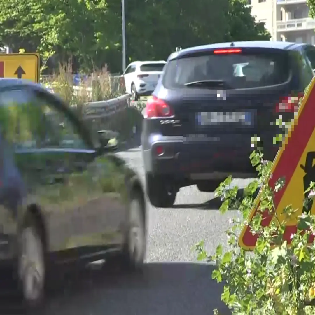 Le file su Viale De Filippis, Squillace: «Il Comune è attivo, ecco come stanno le cose»