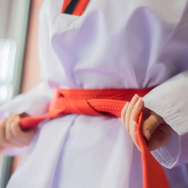 A Corigliano-Rossano il campionato interregionale di taekwondo: attesi 600 atleti da tutto il Sud\n