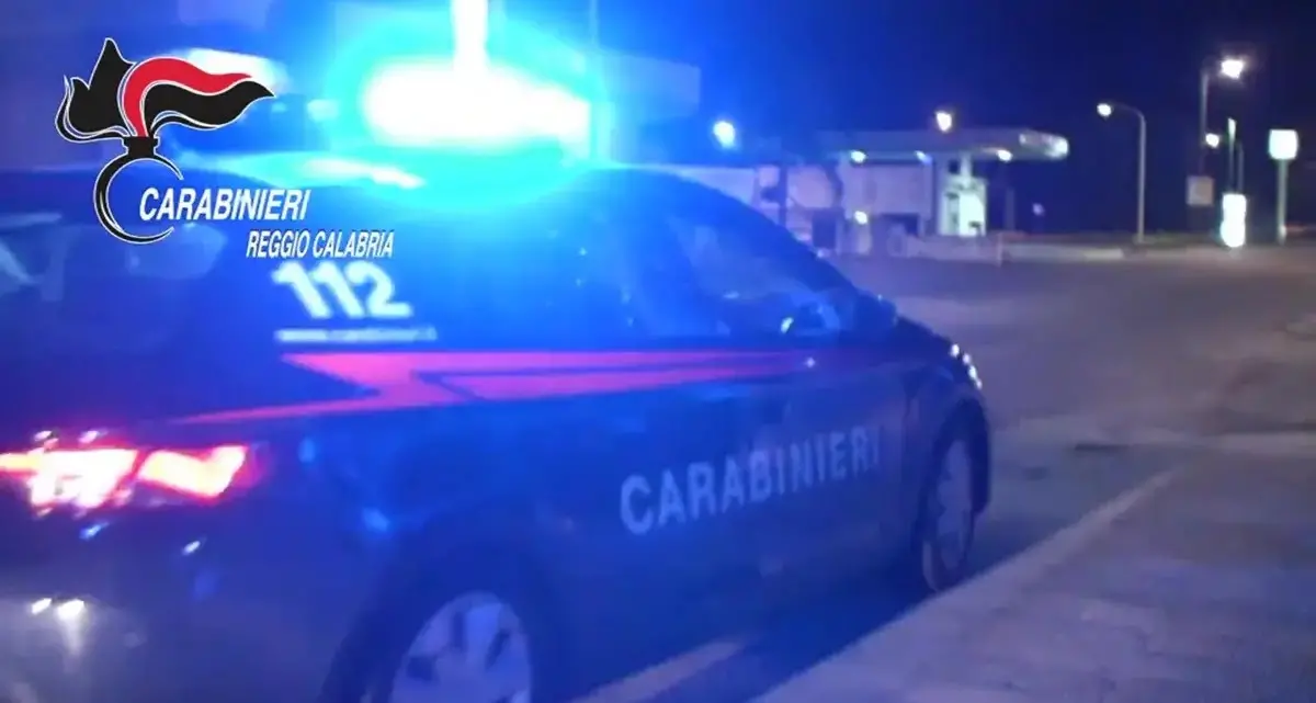 Melicucco, baby gang accusata di violenza a persone vulnerabili e animali. Il sindaco: «Basiti per l’accaduto»\n