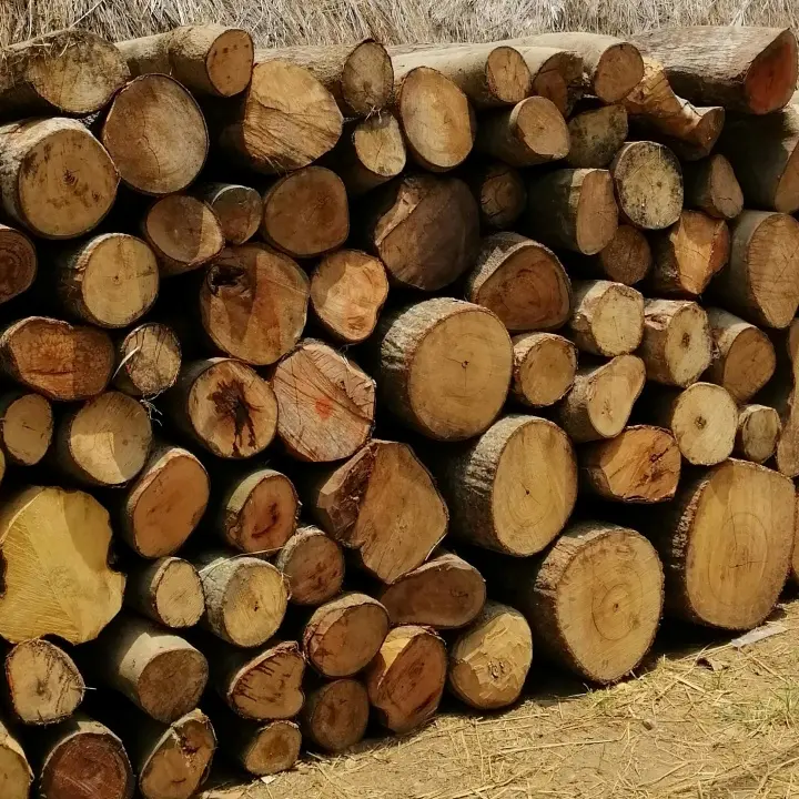 Le mani della cosca di Mesoraca su rifiuti e centrali a biomasse: l’accusa invoca 31 condanne e 37 assoluzioni - NOMI\n