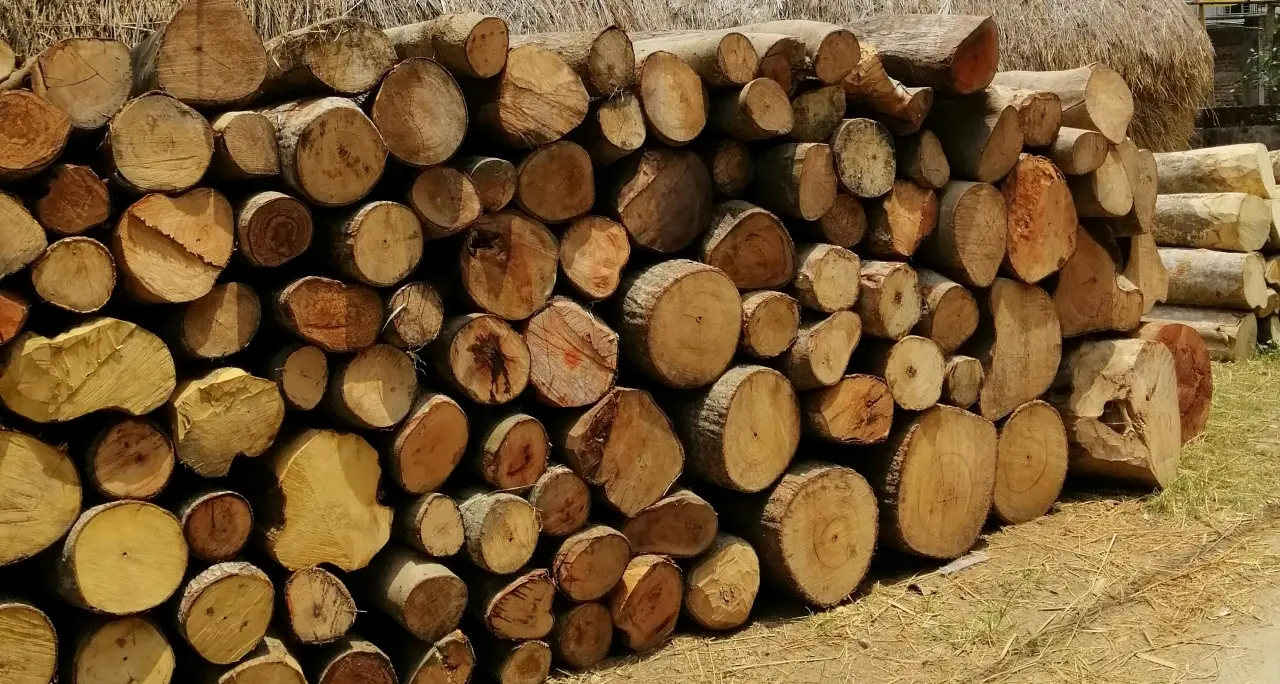 Le mani della cosca di Mesoraca su rifiuti e centrali a biomasse: l’accusa invoca 31 condanne e 37 assoluzioni - NOMI\n