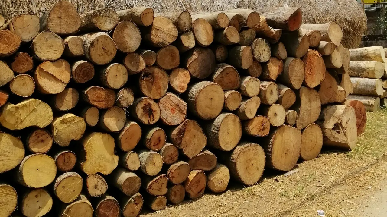 Le mani della cosca di Mesoraca su rifiuti e centrali a biomasse: l’accusa invoca 31 condanne e 37 assoluzioni - NOMI\n