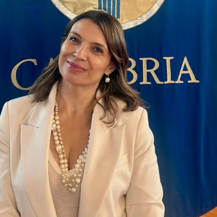 Commissariamento Sanità, Madeo attacca: «Annunci prima degli atti ufficiali»\n