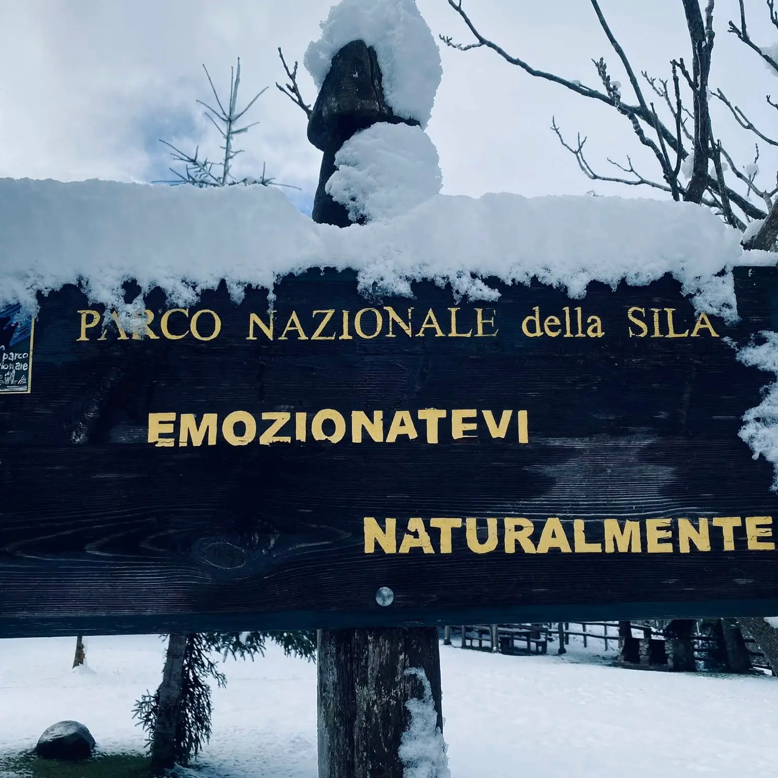 La Sila oggi saluta l’inverno. Finisce la stagione che ha ridato ossigeno alla montagna calabrese\n
