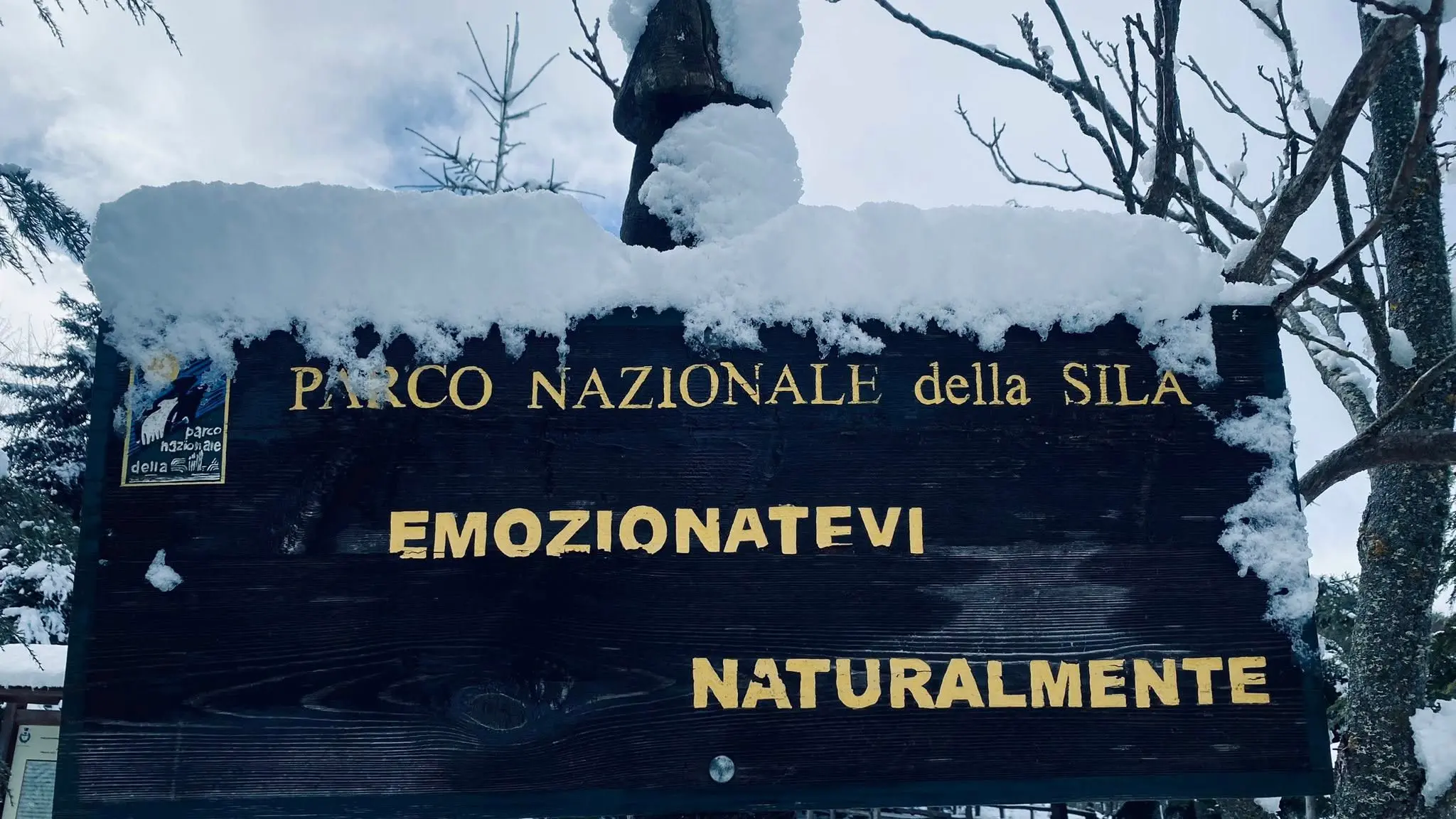 La Sila oggi saluta l’inverno. Finisce la stagione che ha ridato ossigeno alla montagna calabrese\n
