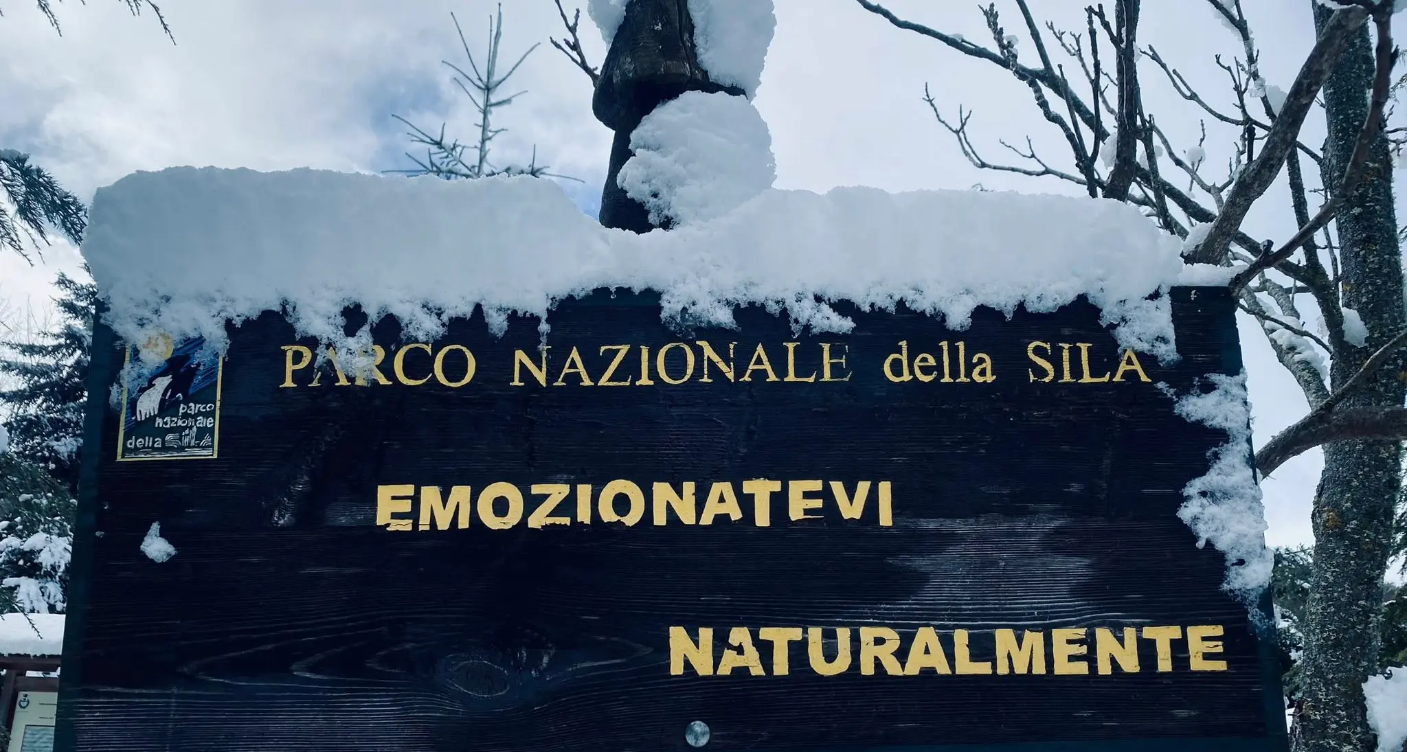 La Sila oggi saluta l’inverno. Finisce la stagione che ha ridato ossigeno alla montagna calabrese\n