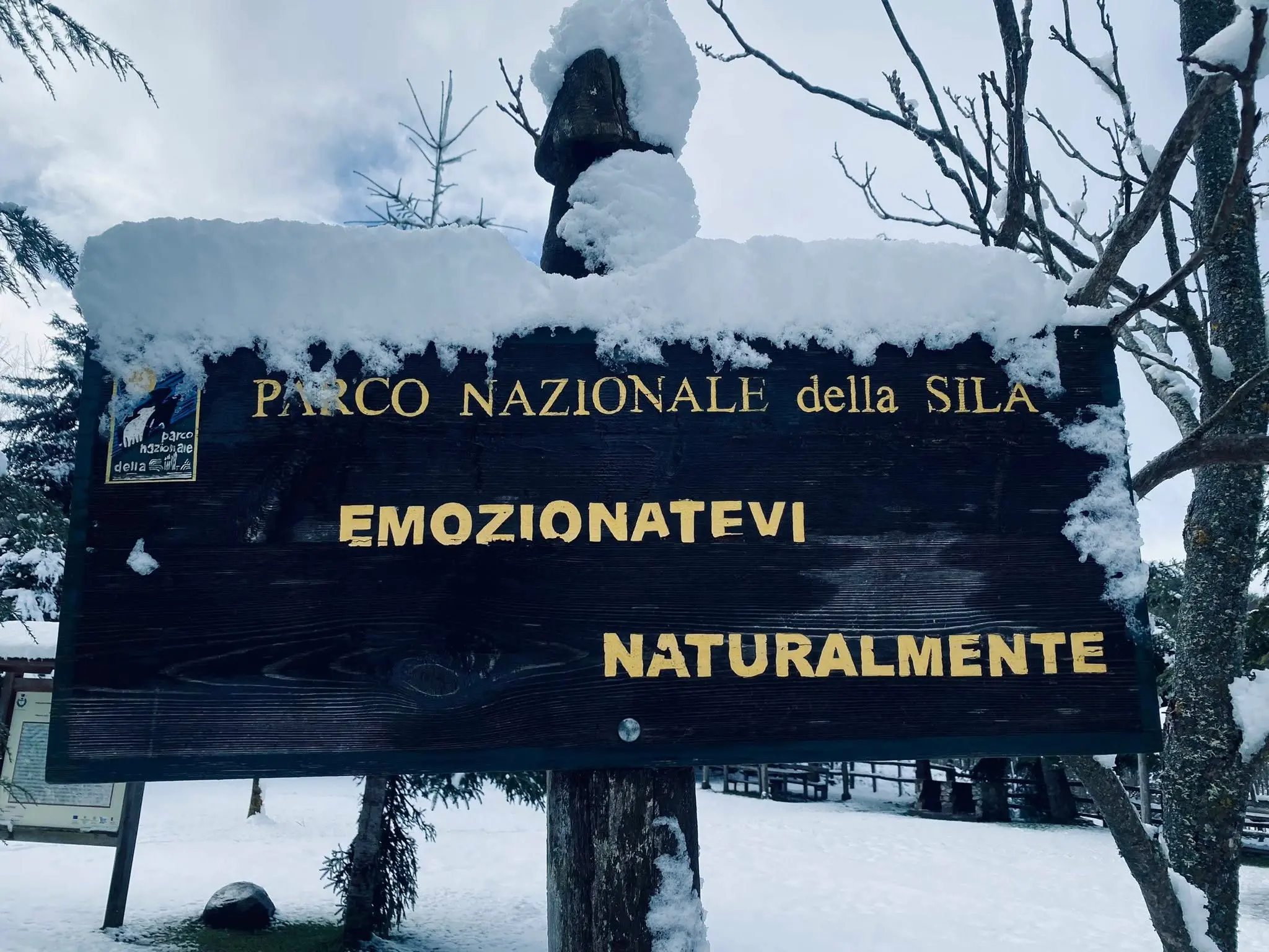 La Sila oggi saluta l’inverno. Finisce la stagione che ha ridato ossigeno alla montagna calabrese\n