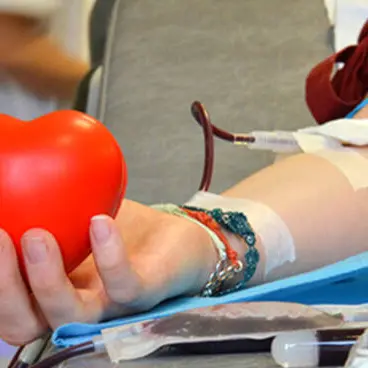 Donazione del sangue, la scuola Vespucci-Murmura di Vibo protagonista di un evento all’insegna della solidarietà\n
