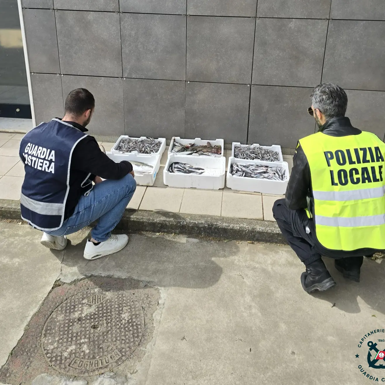 Crotone, sequestrati 28 chili di prodotti ittici senza tracciabilità\n