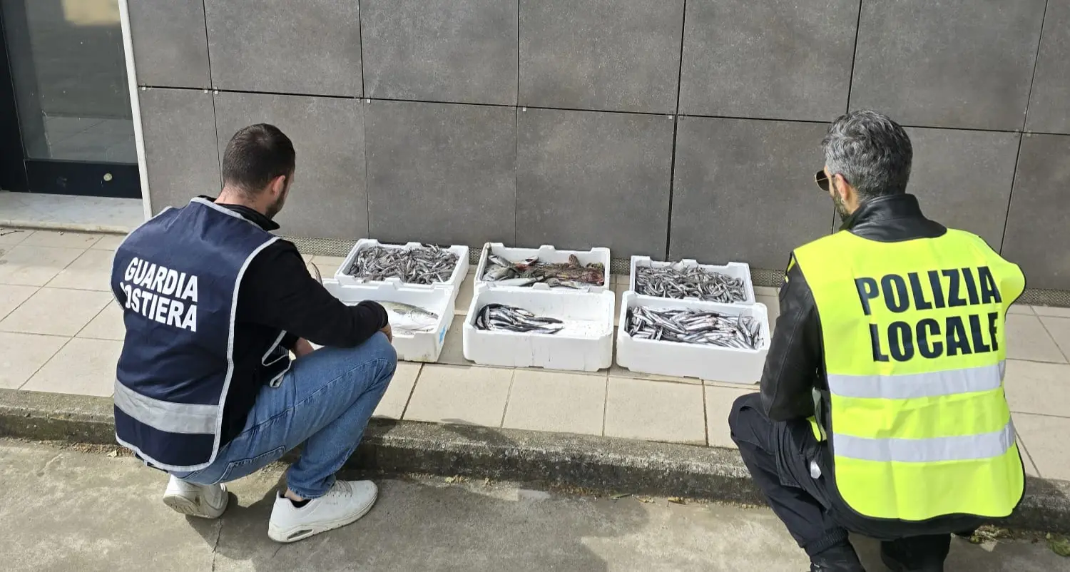 Crotone, sequestrati 28 chili di prodotti ittici senza tracciabilità\n