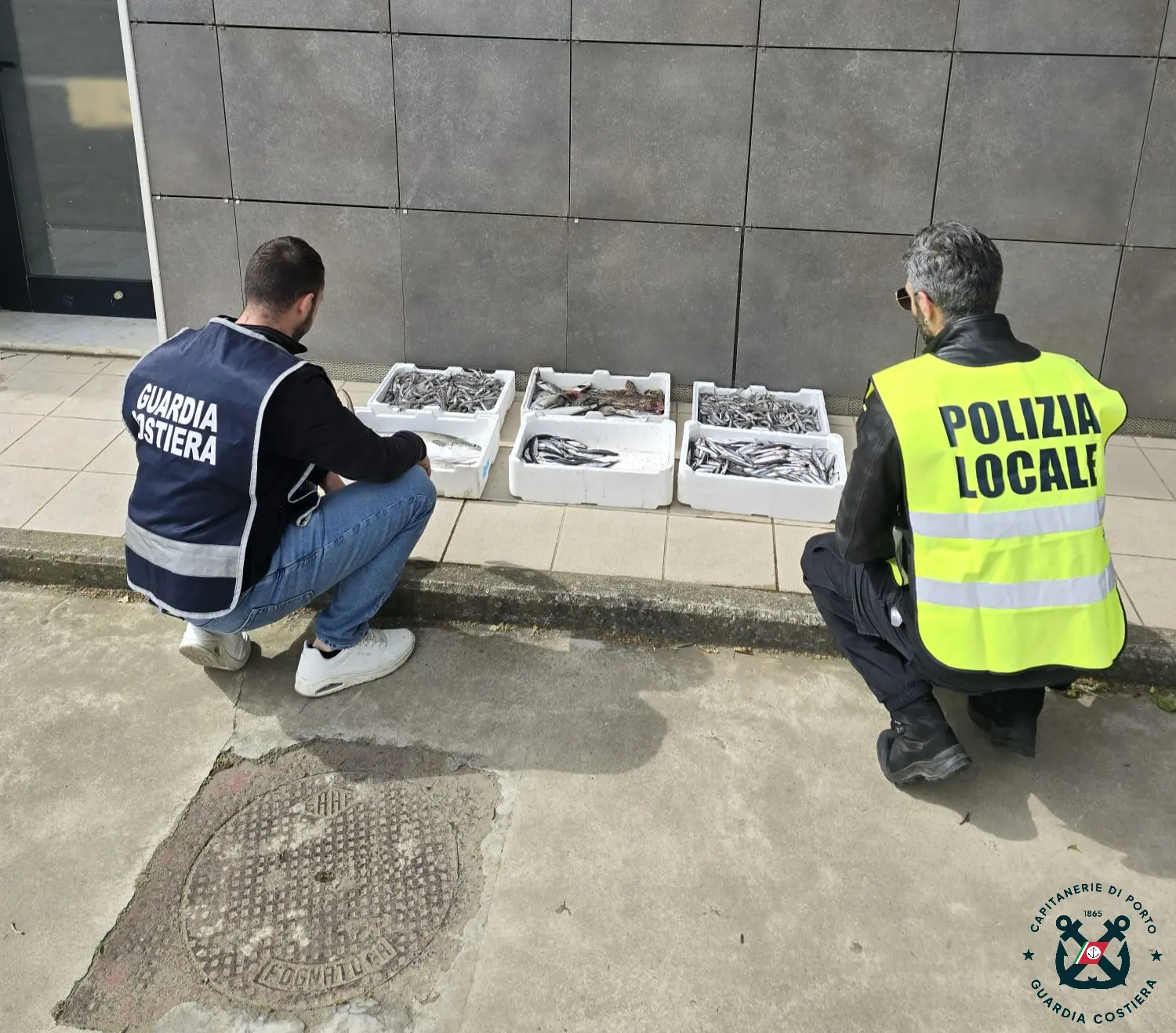 Crotone, sequestrati 28 chili di prodotti ittici senza tracciabilità\n