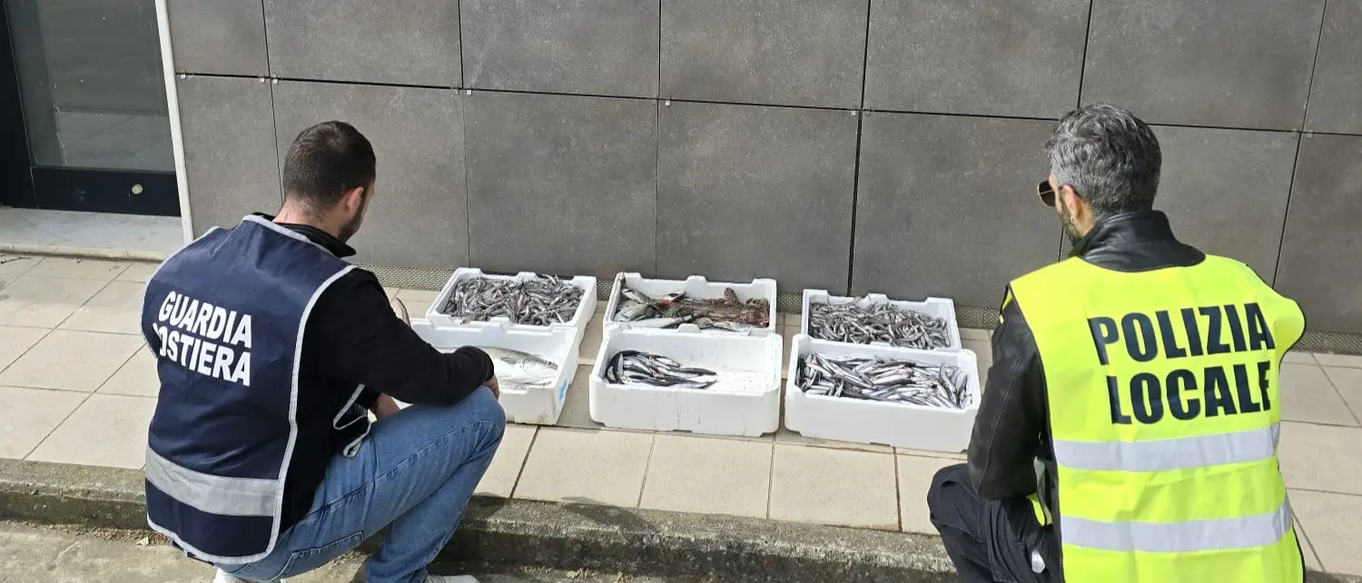 Crotone, sequestrati 28 chili di prodotti ittici senza tracciabilità\n