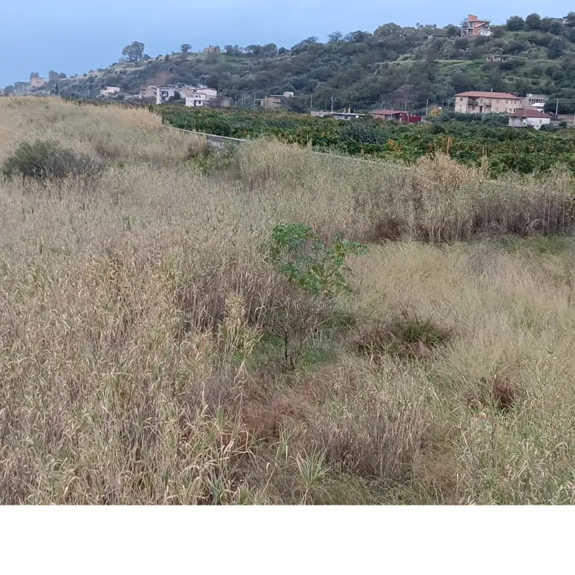 Villa San Giuseppe, Chirico accende i riflettori su degrado e rischio frane: «Fiumara del Gallico bomba ad orologeria»\n